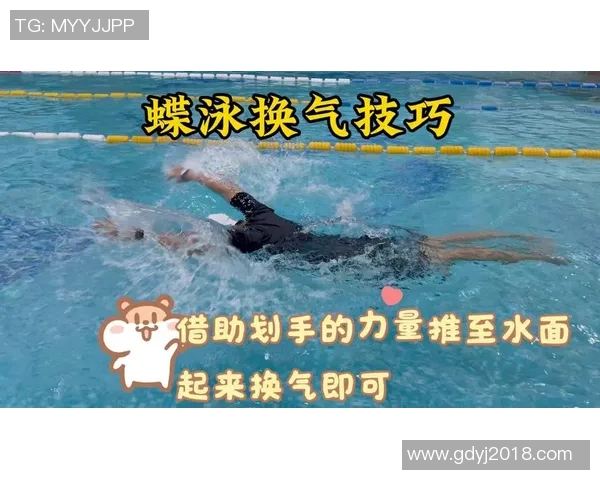 蝶泳比赛规则详解与技巧分析 突破极限挑战水上飞翔