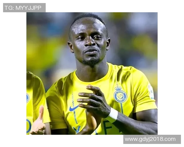 全球挑战赛回顾LNG展现强大实力与潜力分析